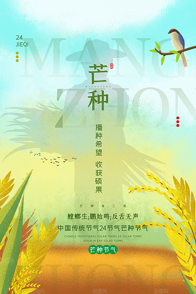 中国传统节气芒种平面海报插画