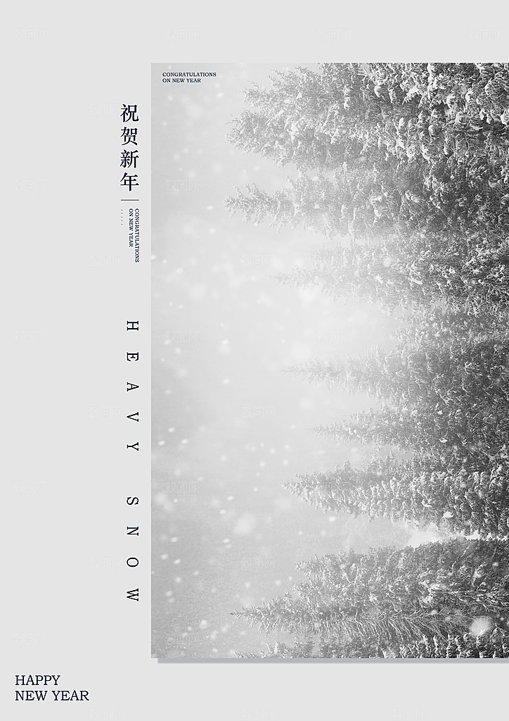 中国传统节气大雪插画海报