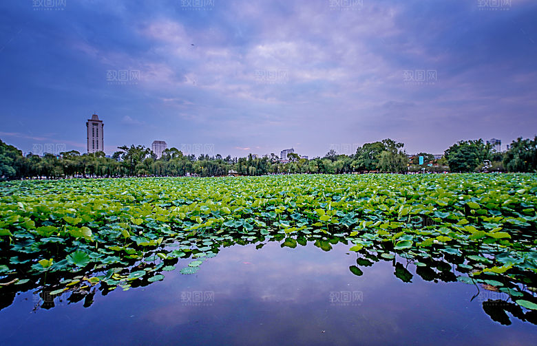 湖泊公园河边海边美景三亚沙滩