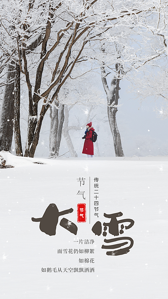 中国传统节气大雪插画海报