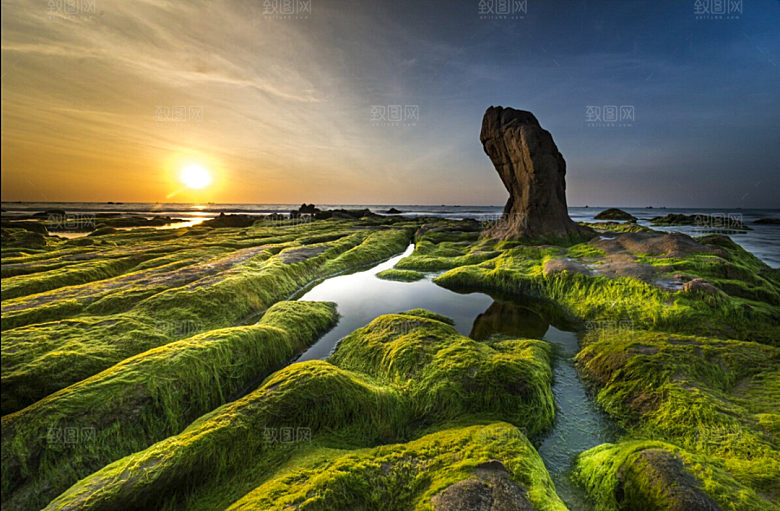 云南沧海绿色森林山林植被摄影