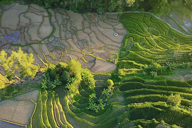 自然风景森林山地山林摄影