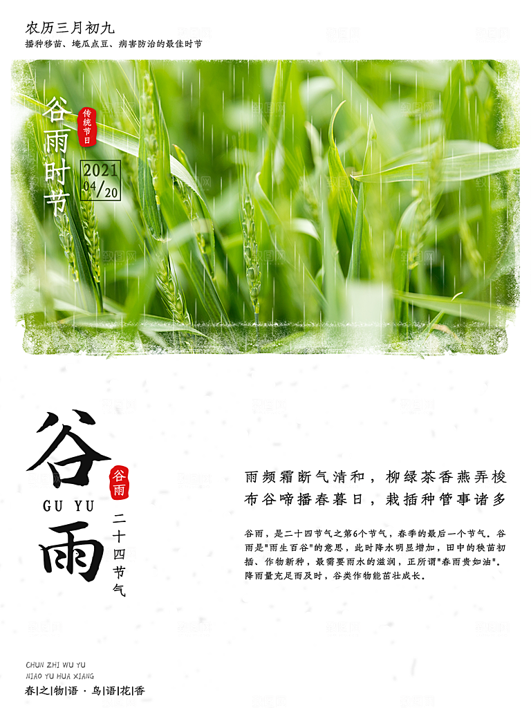 谷雨节气简约大气海报