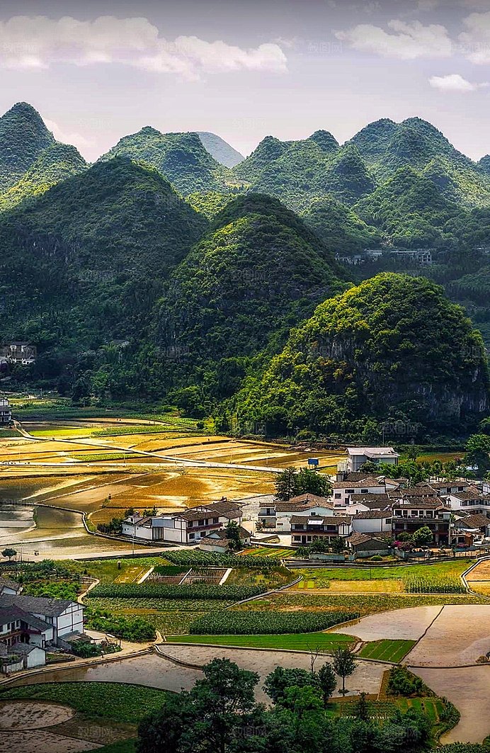 云南沧海绿色森林山林植被摄影
