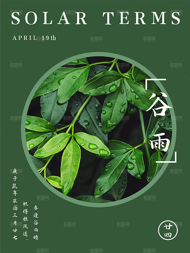 谷雨节气简约大气海报