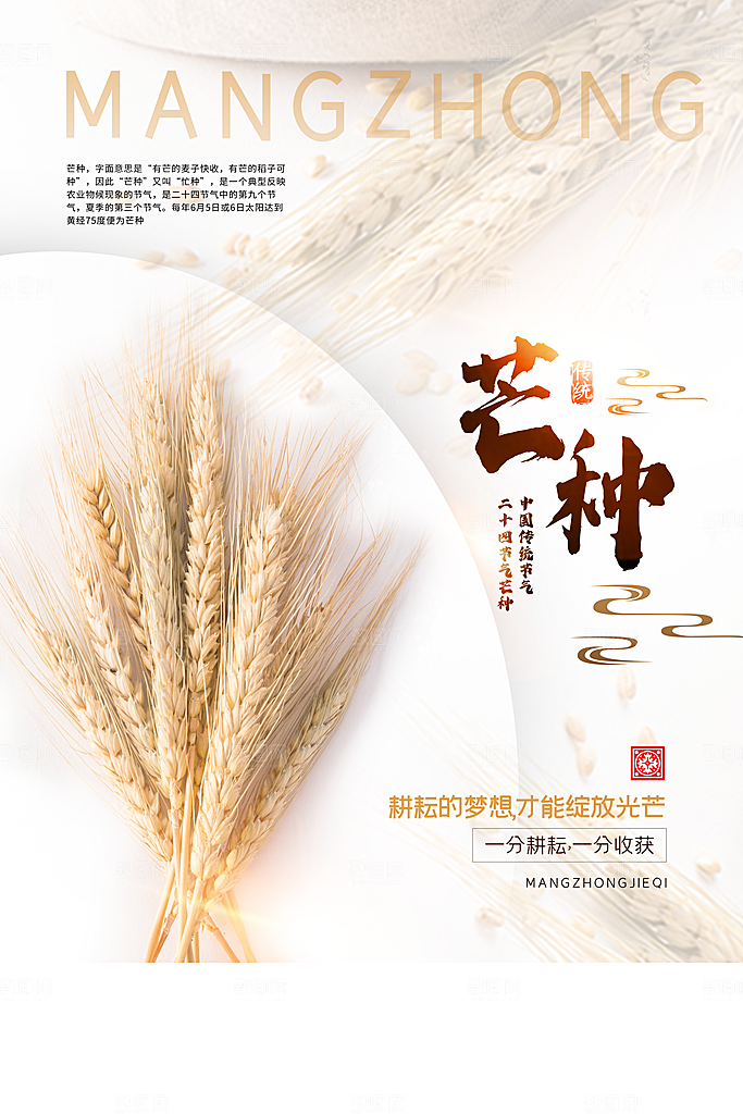 中国传统节气芒种平面海报插画