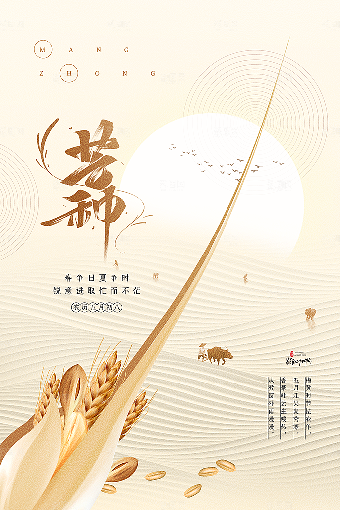 中国传统节气芒种平面海报插画