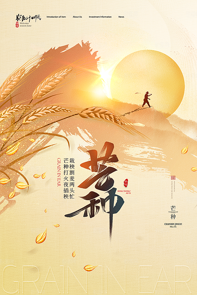 中国传统节气芒种平面海报插画