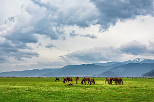 大草原内蒙古春天风景摄影