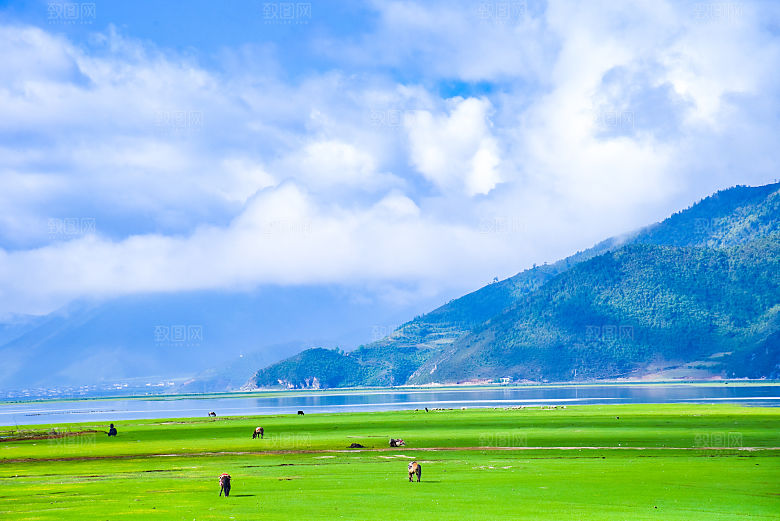 大草原内蒙古春天风景摄影