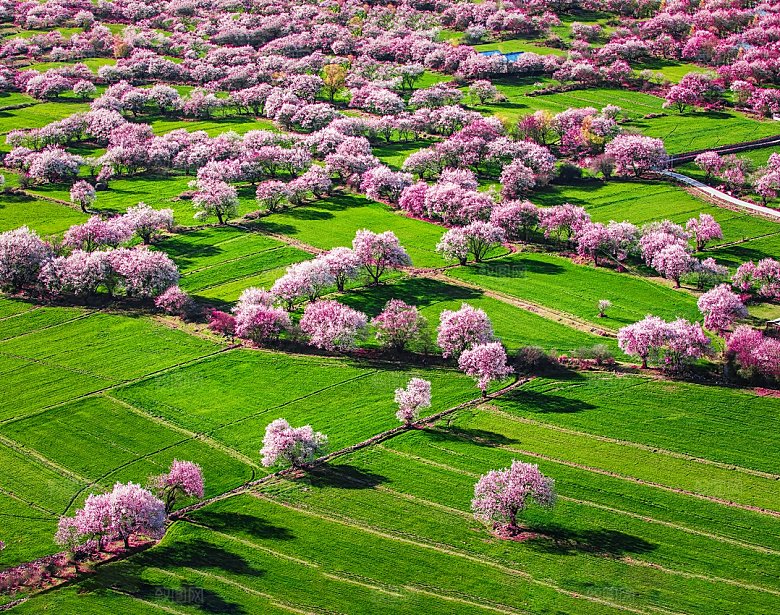 大草原内蒙古春天风景摄影