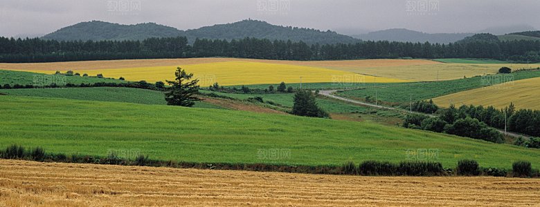 大草原内蒙古春天风景摄影