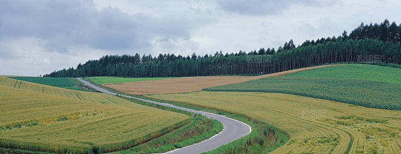 大草原内蒙古春天风景摄影