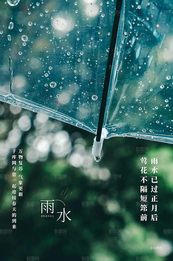 雨水节气简约大气海报