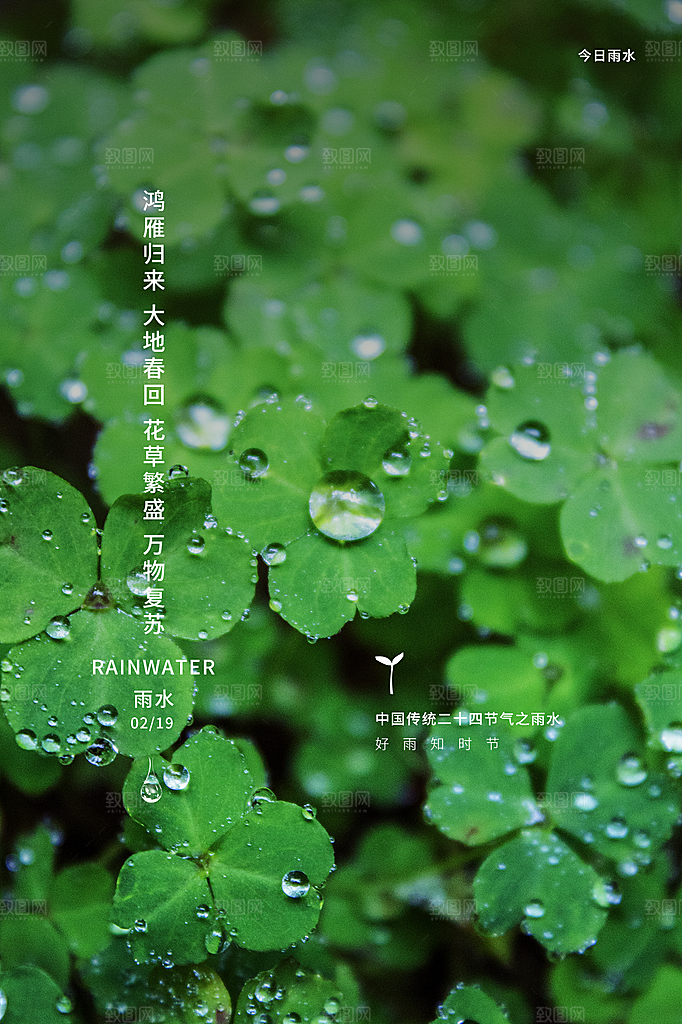 雨水节气简约大气海报