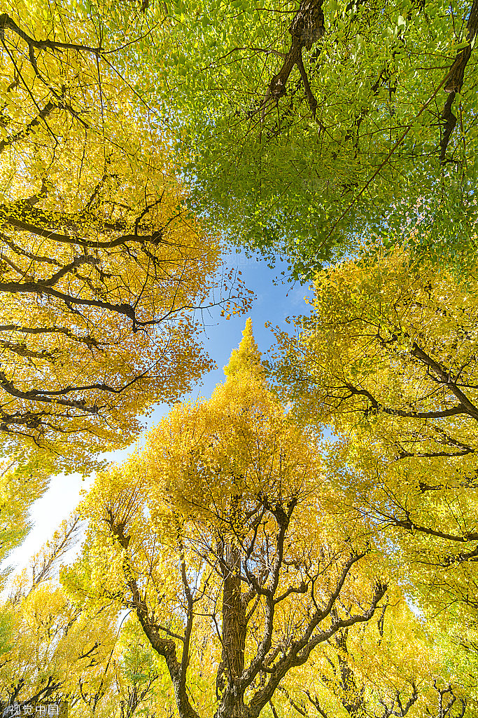 堤坝草原山峰秋季山峦摄影
