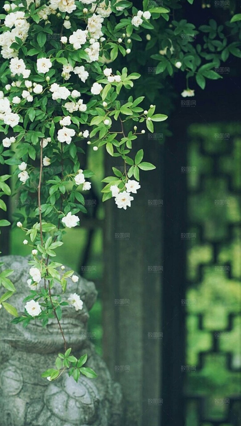 绿色自然风景绿茵森林植物摄影