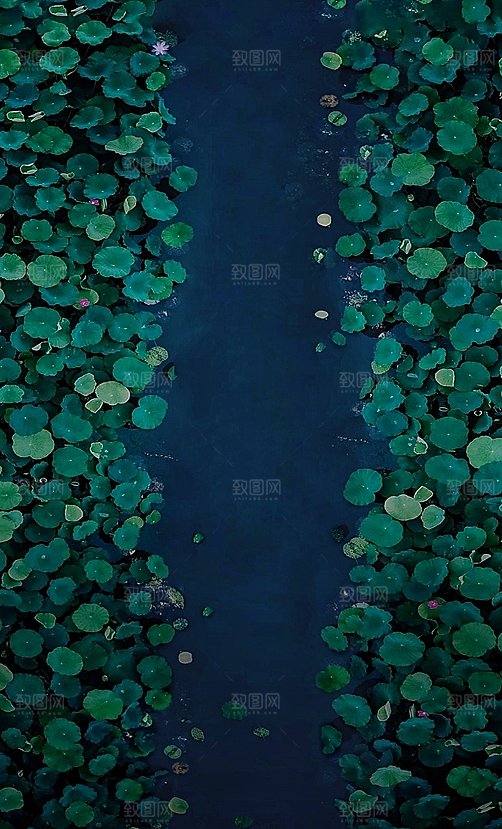 绿色自然风景绿茵森林植物摄影