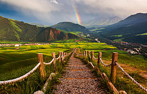 自然风景草原森林摄影