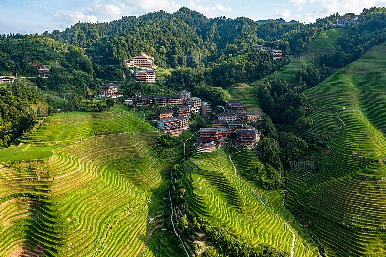 自然风景草原森林摄影