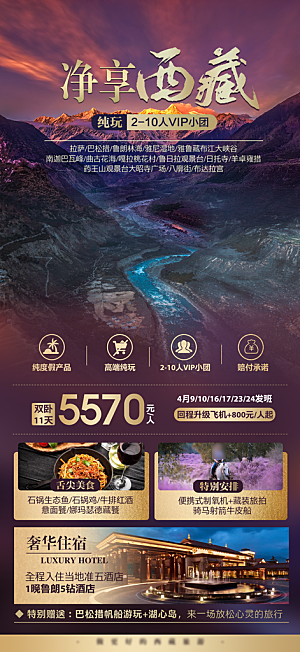 秘境西藏旅行旅游高端手机海报