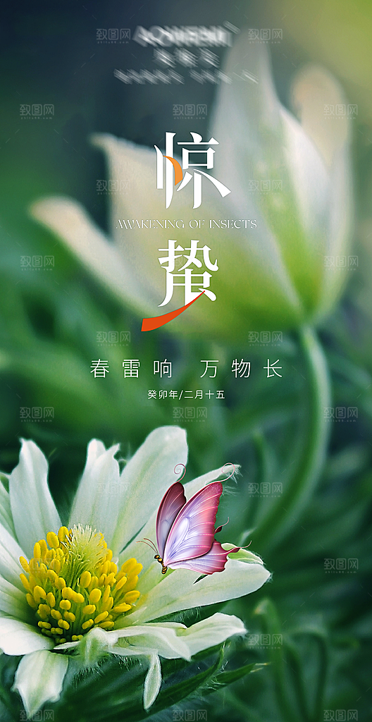 二十四节气惊蛰海报