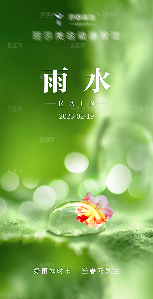 二十四节气雨水海报