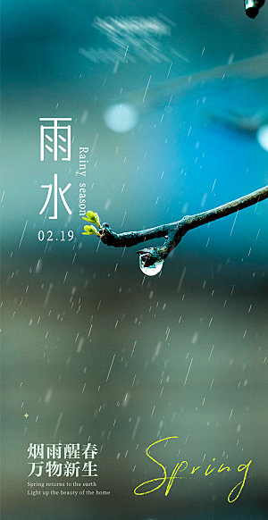 二十四节气-雨水海报