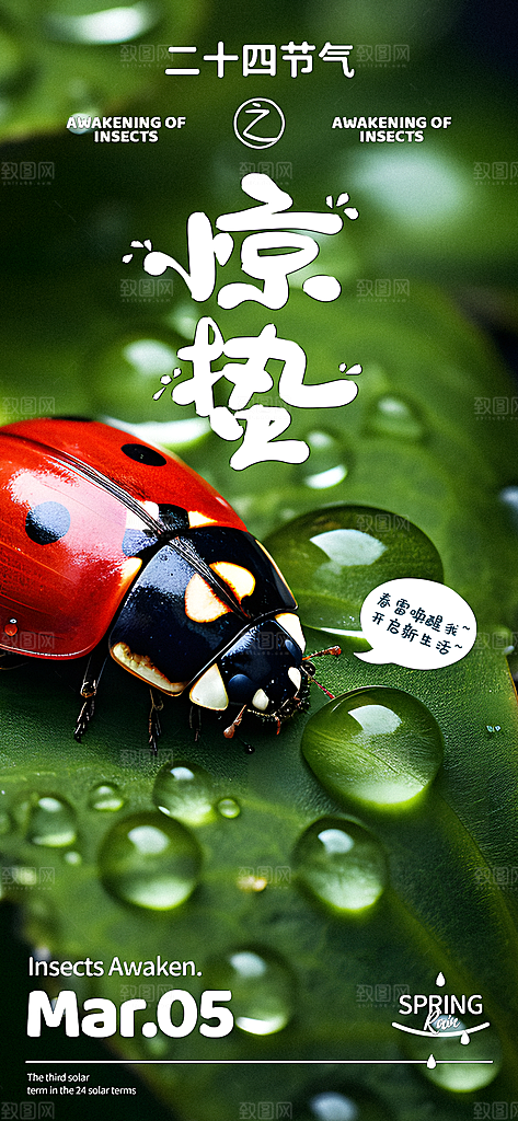 中国传统节气惊蛰展板