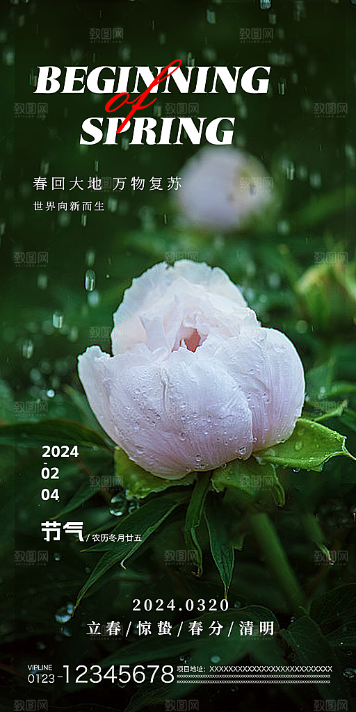 中国传统节气惊蛰海报