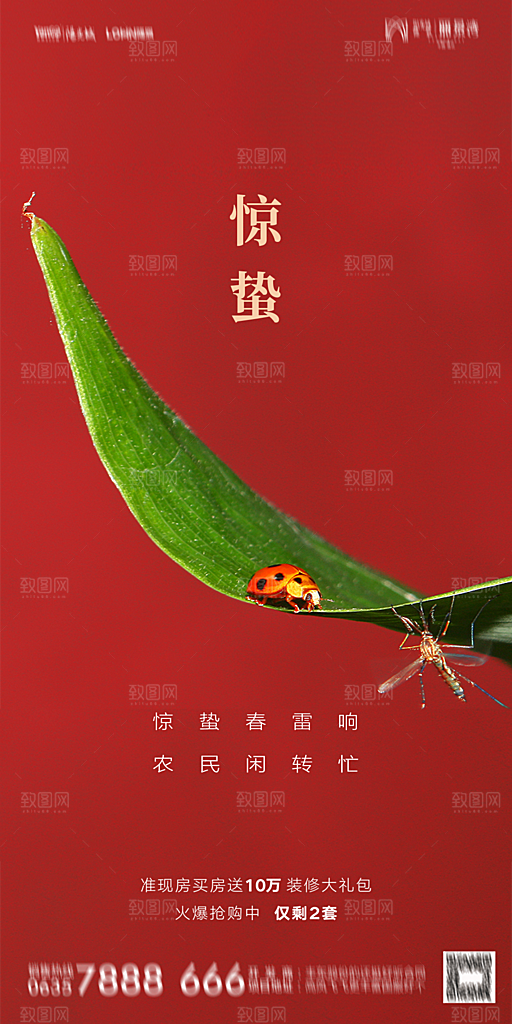 惊蛰宣传海报设计素材广告