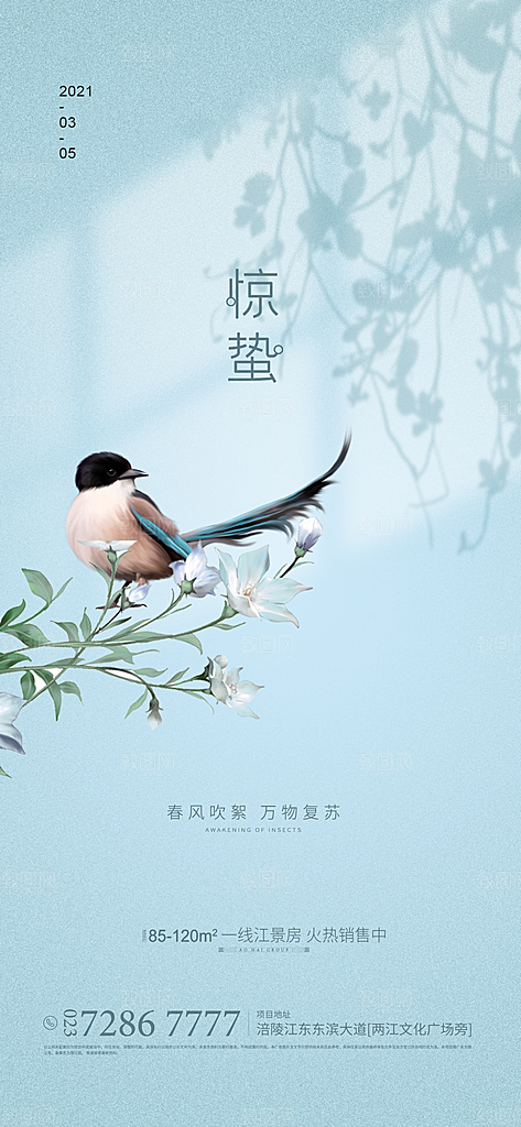 惊蛰宣传海报设计