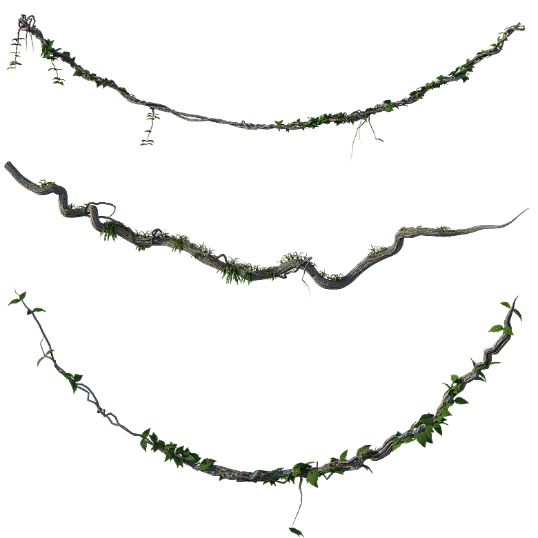 鲜花菊花花枝免扣元素