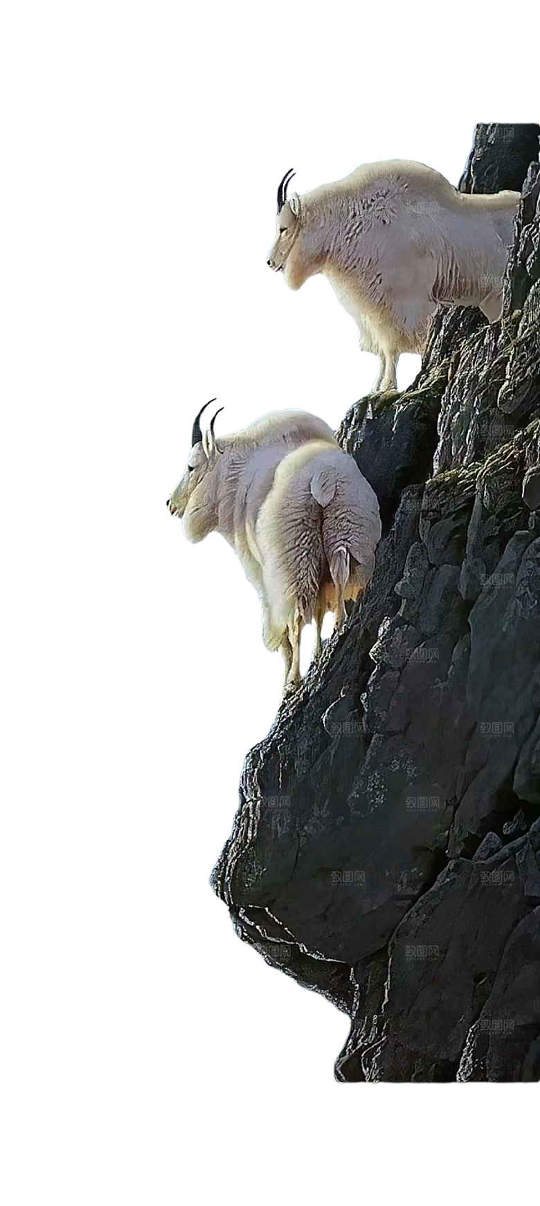 栅栏栏杆山洞前景素材
