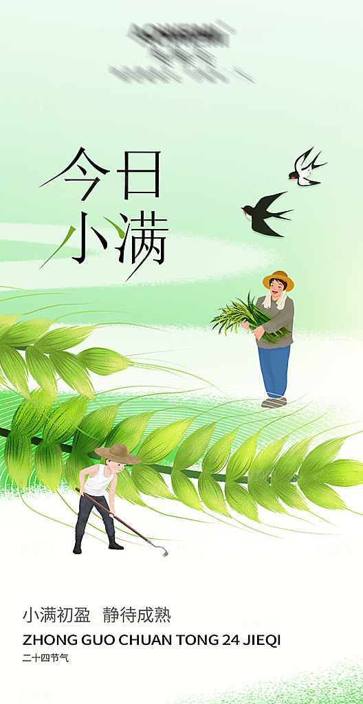 二十四节气小满海报