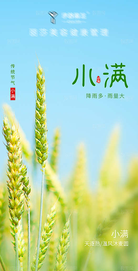 二十四节气-小满海报