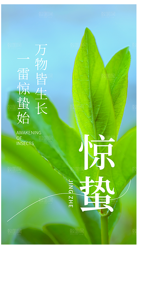 惊蛰节气摄影图海报