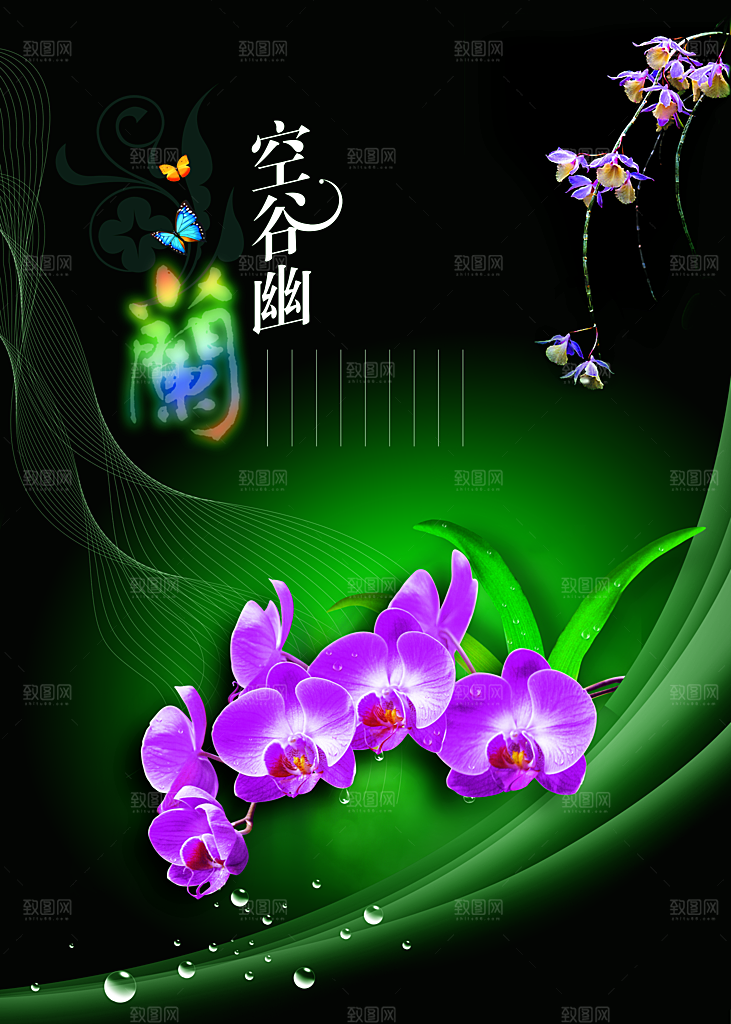 鲜花花朵蝶恋花创意摄影封面