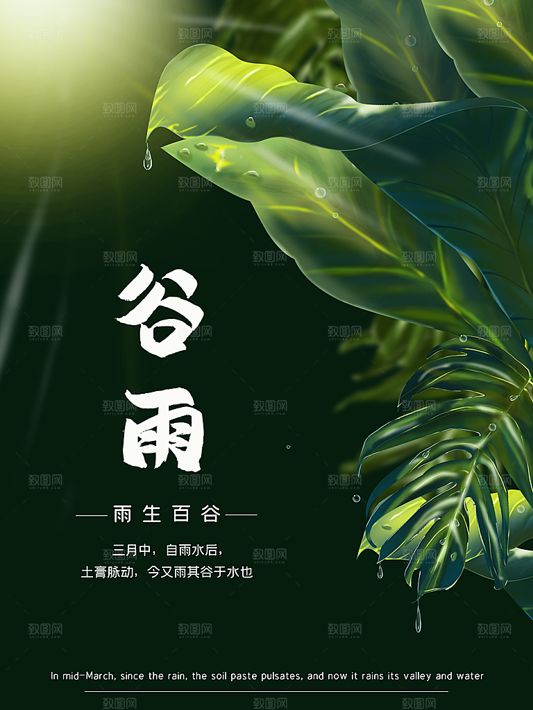 谷雨节气简约大气海报