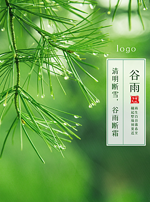 谷雨节气简约大气海报