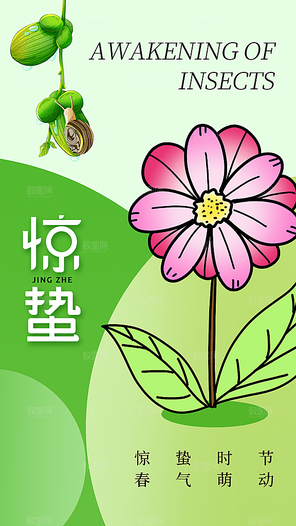 高级惊蛰节气宣传海报