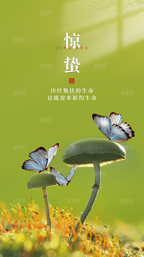 高档惊蛰节气宣传海报