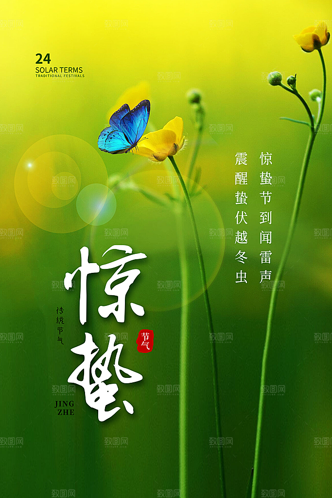 高档惊蛰节气宣传海报