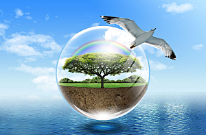 环境自然地球白鸽海报
