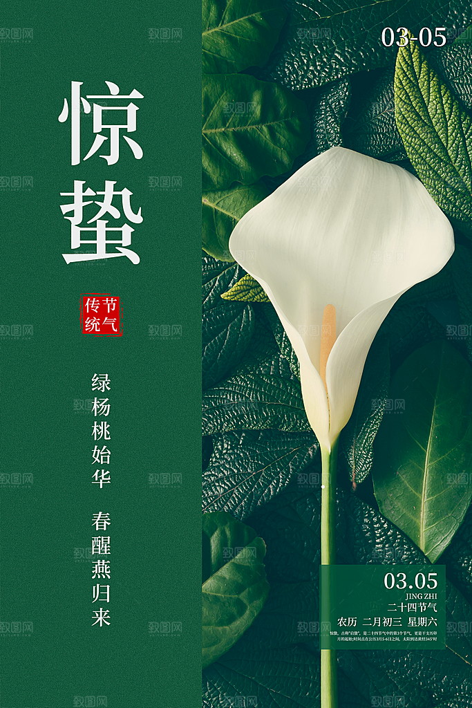 大气惊蛰节气宣传海报