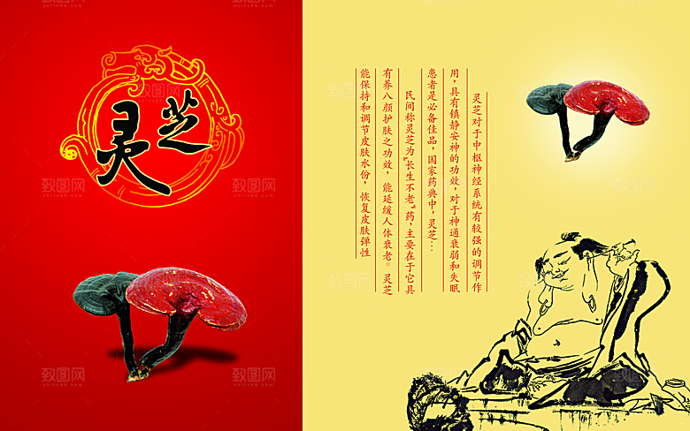 灵芝主题画册PSD分层素材