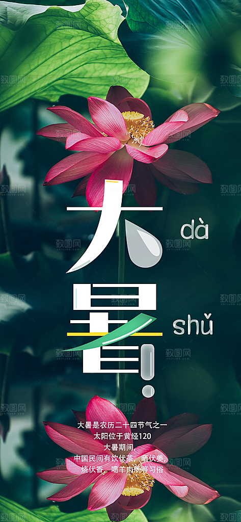 大暑小暑二十四节气节日海报