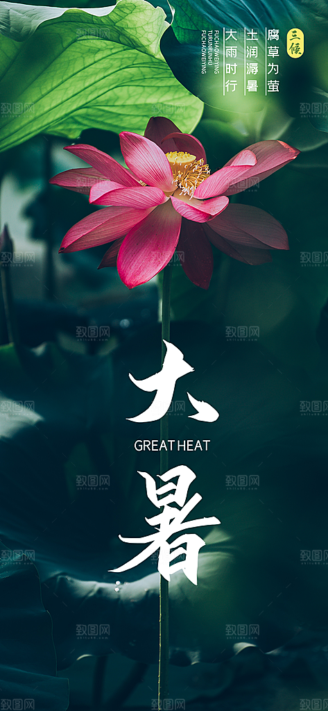 绿色荷花夏至大暑小暑海报设计