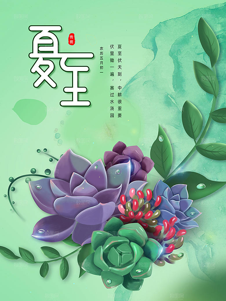 绿色夏至多肉大暑小暑宣传海报