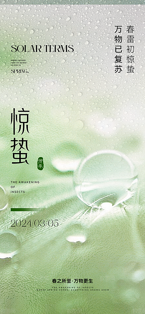 惊蛰节气简约大气海报